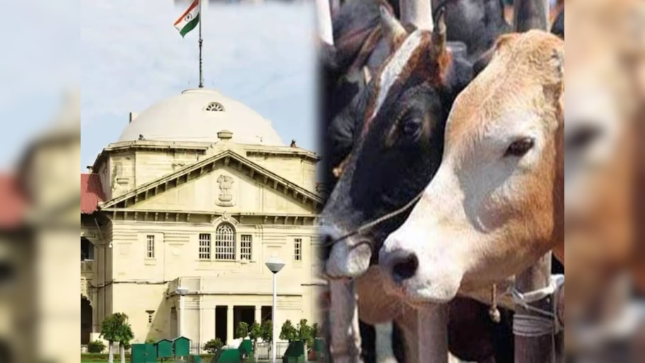 गौ-हत्या के नाम पर हो रहे फर्जी मुकदमे, इलाहाबाद HC ने योगी सरकार को लगाई फटकार