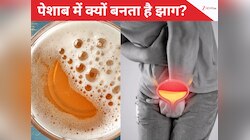 Urine Foam Cause:पेशाब में झाग आना इस गंभीर बीमारी का होता है संकेत