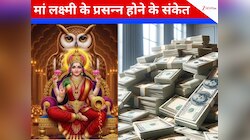 इन संकेतों से पता चलेगा दिवाली पर आपके घर में हो गया है माता लक्ष्‍मी का प्रवेश