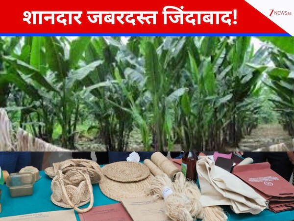 मिजोरम: जिसे केले का वेस्ट समझकर फेंक देते थे, उसके इस्तेमाल से होगी बंपर कमाई, बस करना होगा ये काम