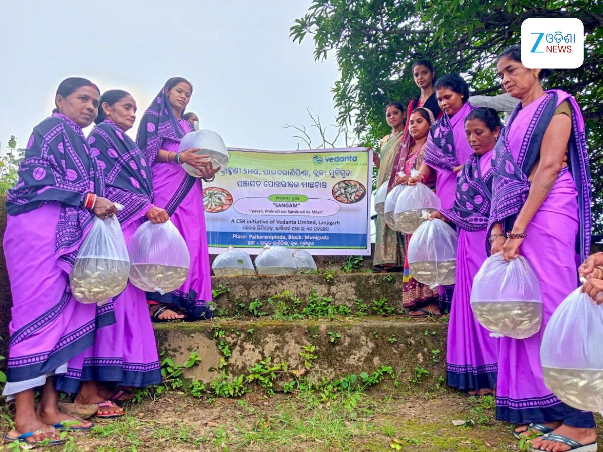Odisha News: ସଂଗମ ଯୋଜନାରେ ମାଛ ଚାଷୀଙ୍କୁ ବିପୁଳ ଲାଭ Odisha News: ସଂଗମ ଯୋଜନାରେ ମାଛ ଚାଷୀଙ୍କୁ ବିପୁଳ ଲାଭ