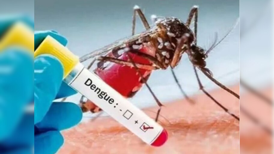 बांग्लादेश में डेंगू बुखार का आतंक, 24 घंटे में 4 और मौतें; जानें अब तक कितने लोगों की हुई मौत