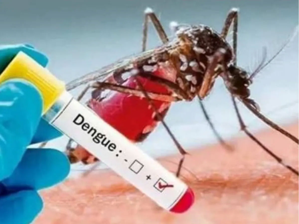 बांग्लादेश में डेंगू बुखार का आतंक, 24 घंटे में 4 और मौतें; जानें अब तक कितने लोगों की हुई मौत बांग्लादेश में डेंगू बुखार का आतंक, 24 घंटे में 4 और मौतें; जानें अब तक कितने लोगों की हुई मौत