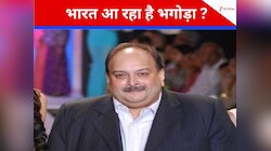 भगोड़े मेहुल चौकसी को भारत लाने का रास्ता साफ, जानें किस जेल में होगा नया ठिकाना