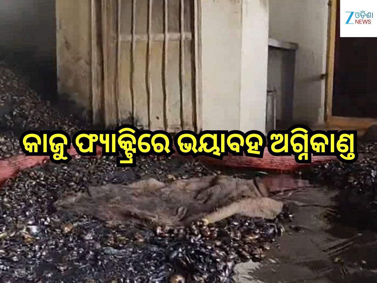 Odisha News: କାଜୁ ଫ୍ୟାକ୍ଟ୍ରିରେ ଭୟାବହ ଅଗ୍ନିକାଣ୍ତ, ନିଆଁ ଝାସରେ ମାଲିକ ଗୁରୁତର Odisha News: କାଜୁ ଫ୍ୟାକ୍ଟ୍ରିରେ ଭୟାବହ ଅଗ୍ନିକାଣ୍ତ, ନିଆଁ ଝାସରେ ମାଲିକ ଗୁରୁତର