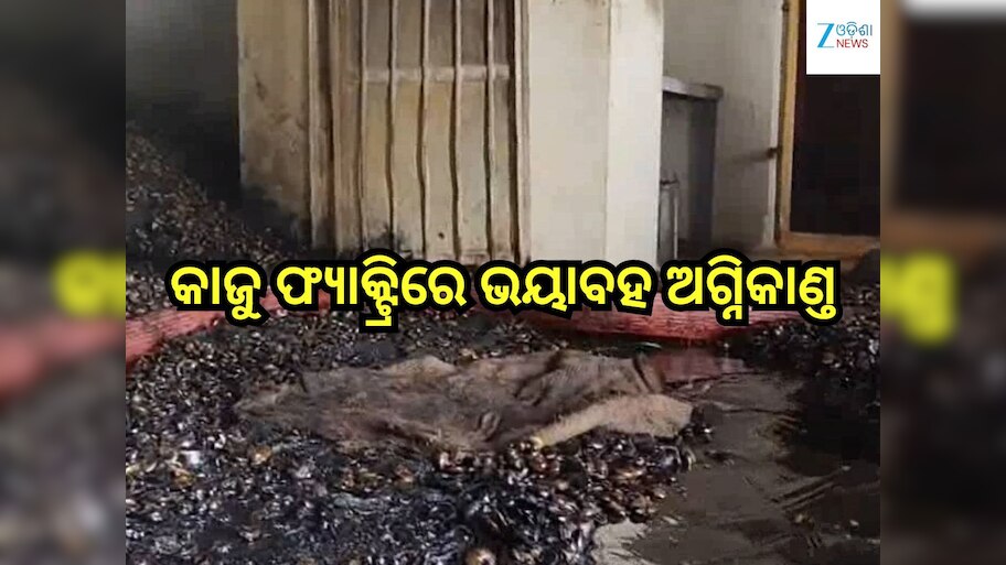 Odisha News: କାଜୁ ଫ୍ୟାକ୍ଟ୍ରିରେ ଭୟାବହ ଅଗ୍ନିକାଣ୍ତ, ନିଆଁ ଝାସରେ ମାଲିକ ଗୁରୁତର