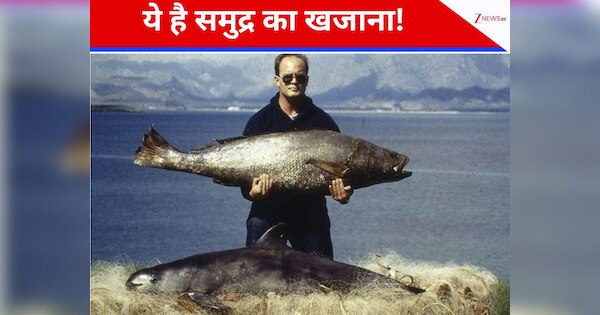 most expensive totoaba fish even bones are sold at high price read ...