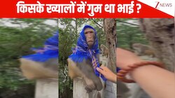 किसके ख्यालों में गुम था भाई...? बंदर को शख्स ने पहनाया मफलर, फिर मंकी ब्रो ने जो किया देख हंसी छूट जाएगी