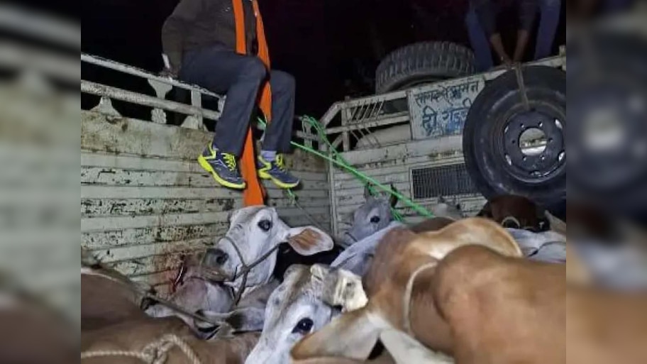 गाय तस्करी की झूठी सूचना देकर गौ रक्षक सोनू को बुलाया फिर मारी गोली; BJP ने निकाला AIMIM एंगल