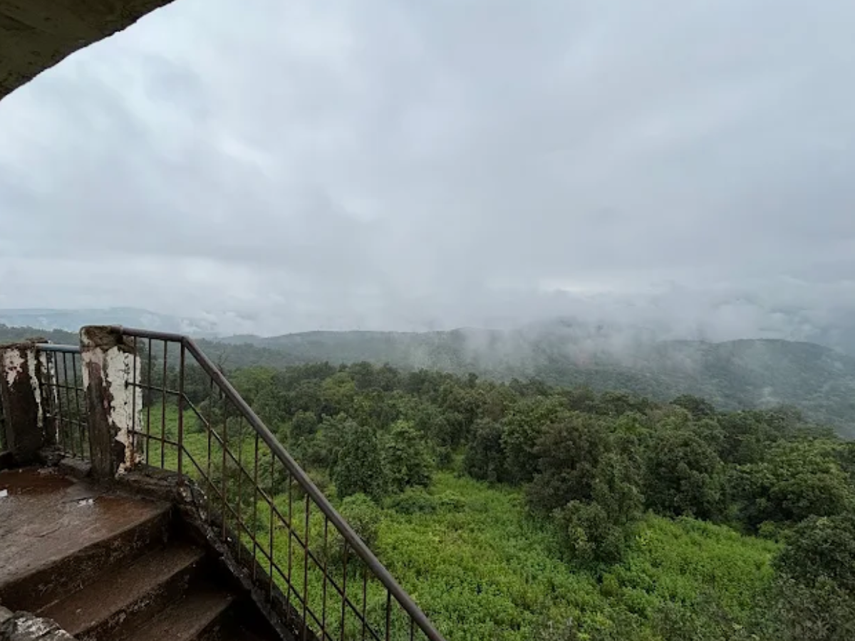 visit unique places in chhattisgarh during winters you will instantly cancel your plans to go abroad | नवंबर-दिसंबर में घूम लें छत्तीसगढ़ की ये अनोखी जगहें, विदेश जाने का प्लान झट से