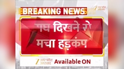 Lakhimpur Kheri Video: धान के खेत में टहलता दिखा बाघ, जान बचाकर इधर-उधर भागे लोग