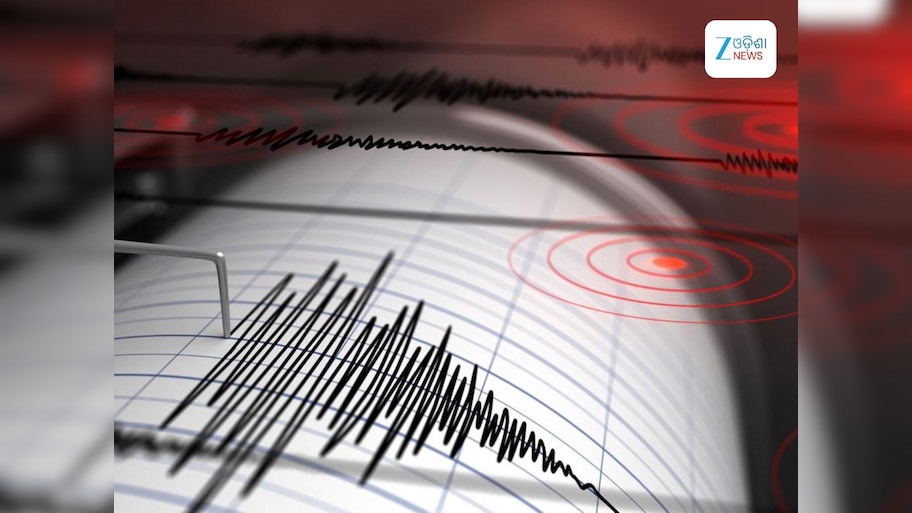 Earthquake: ଭୟଙ୍କର ଭୂମିକମ୍ପରେ ଦୋହଲିଲା ୪ ଦେଶ