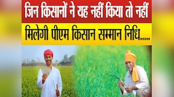 UP: किसान रजिस्ट्री की रेस में सीतापुर अव्वल, PM किसान की अगली किस्त का रास्ता साफ