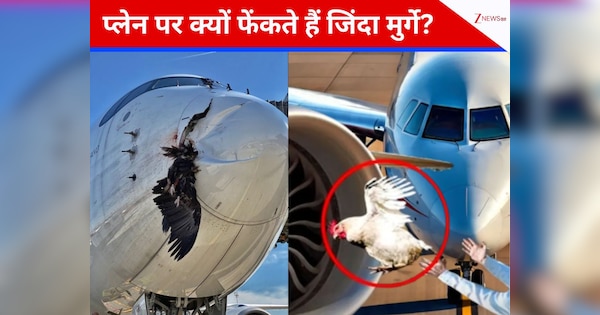 Explainer: क्या होता है चिकन गन टेस्ट, जिसमें विमानों के कांच पर दागे जाते हैं जिंदा मुर्गे?