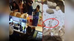 तोड़ी मेवाबाइट तो निकले कीड़े, आगरा में नामी मिठाईवाले की मिठाई का वीडियो वायरल