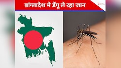 डेंगू का डंक झेल रहा बांग्लादेश, नहीं थमा मौत का सिलसिला, 2025 में कितनी जानें गईं?