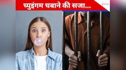 इस देश में पूरी तरह बैन है च्युइंगम, खाते देख लिया तो जेल में डाल देगी सरकार