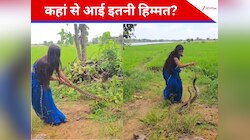 कहां से आई इतनी हिम्मत? महिला ने अजगर का बना दिया खिलौना, सोशल मीडिया पर छाया वीडियो