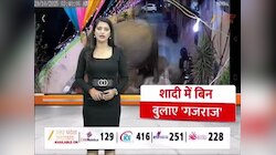 शादी समारोह में बिन बुलाए घुस आए गजराज, फिर जो किया... वीडियो ने इंटरनेट पर मचाई धूम