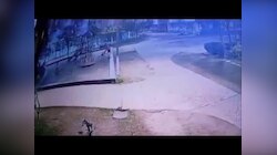 Greater Noida Video: घर से टहलने निकला था रेजिडेंट, तो आवारा कुत्तों ने कर दिया हमला