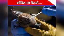 चमगादड़ों ने फिर फैलाया आतंक, ब्राजील में मिला Covid-19 जैसा नया वायरस