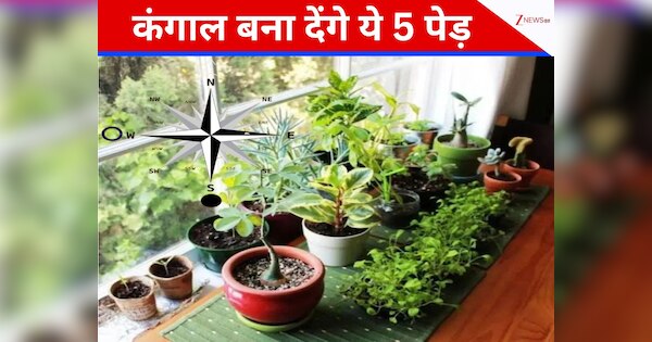 According to Vastu Shastra these 5 trees can make you poor dont plant ...