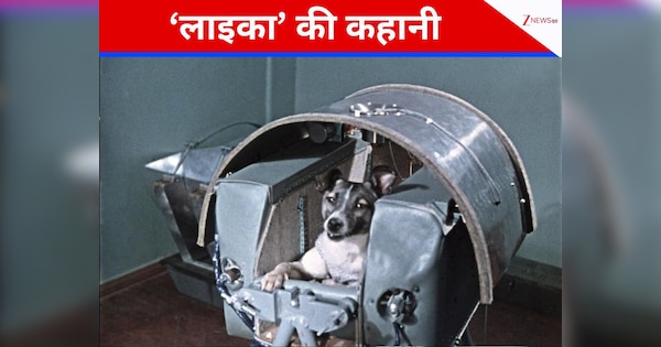 मॉस्को की सड़कों पर घूमने वाली 'लाइका', जिसे वापस लाने का नहीं था प्लान, फिर भी भेज दिया स्पेस में