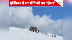 Video: जिस भालू को रोज खाना देते थे सेना के जवान, उसे बांधकर कैंप में क्यों ले आए?