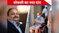 भारत आने से बचने का नया पैंतरा, एंटवर्प कोर्ट के फैसले के खिलाफ SC गया मेहुल चोकसी