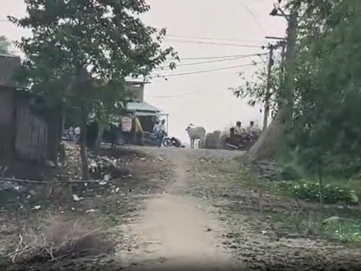 गांव की सड़क जस की तस टूटी पड़ी