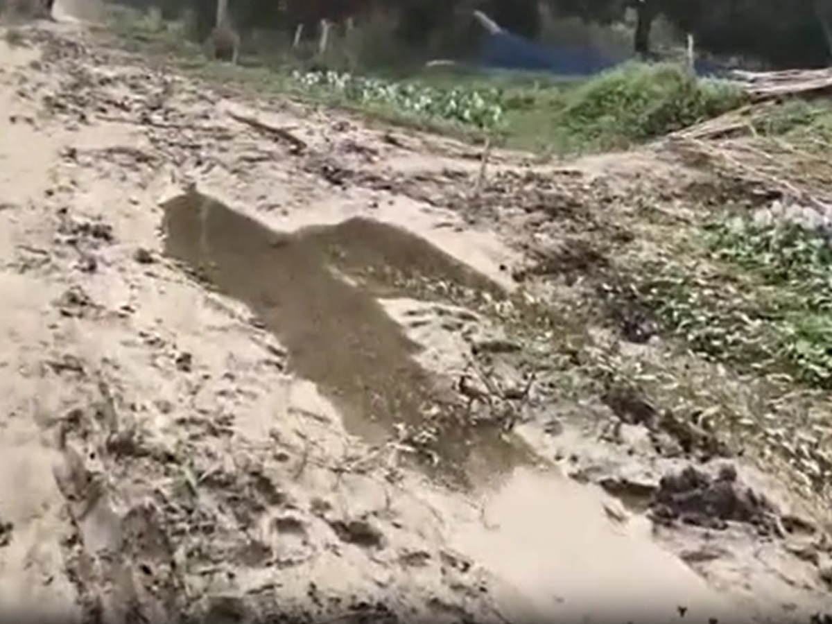 सड़क पूरी तरह से खराब