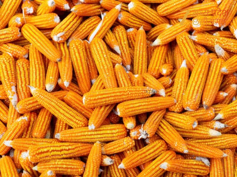 उत्पादन क्षमता