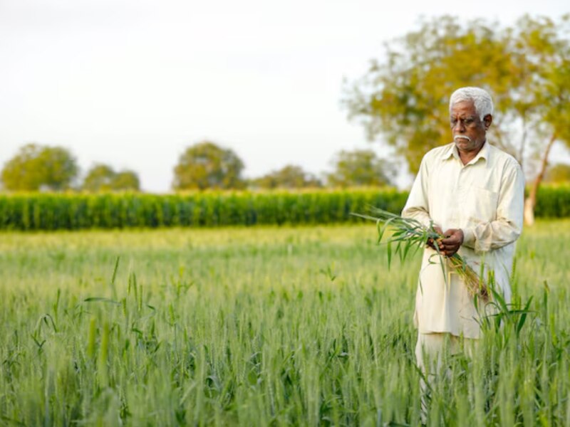 रूक सकता है पीएम सम्मान निधि का पैसा