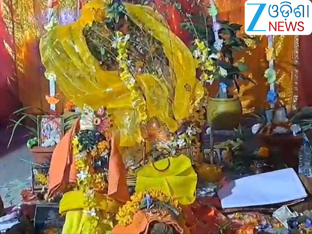 Odisha News: ବୃନ୍ଦାବତୀ ଓ ସାଳଗ୍ରାମଙ୍କ ବିବାହ ଅନୁଷ୍ଠିତ Odisha News: ବୃନ୍ଦାବତୀ ଓ ସାଳଗ୍ରାମଙ୍କ ବିବାହ ଅନୁଷ୍ଠିତ
