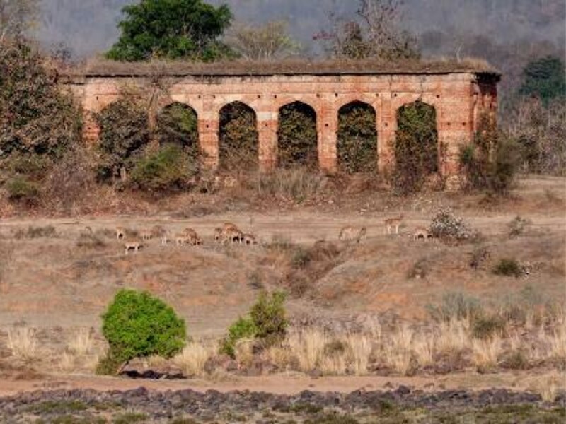 पन्ना में हीरों के खदान