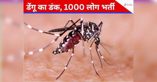 इस देश में डेंगू सुरसा की तरह लोगों को निगल रहा! अब तक 292 की मौत; 70 हजार से ज्यादा चपेट में