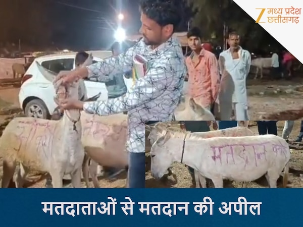 उज्जैन के कार्तिक मेले में गधों ने दिया वोटिंग का संदेश
