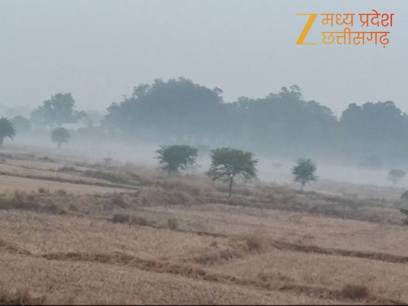 इस कैसी रहेगी ठंड