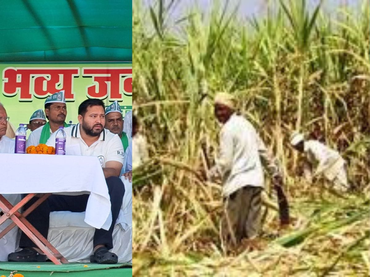 किसानों और गन्ना उद्योग के लिए बड़ी घोषणाएं