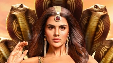Highest Paid Naagin TV