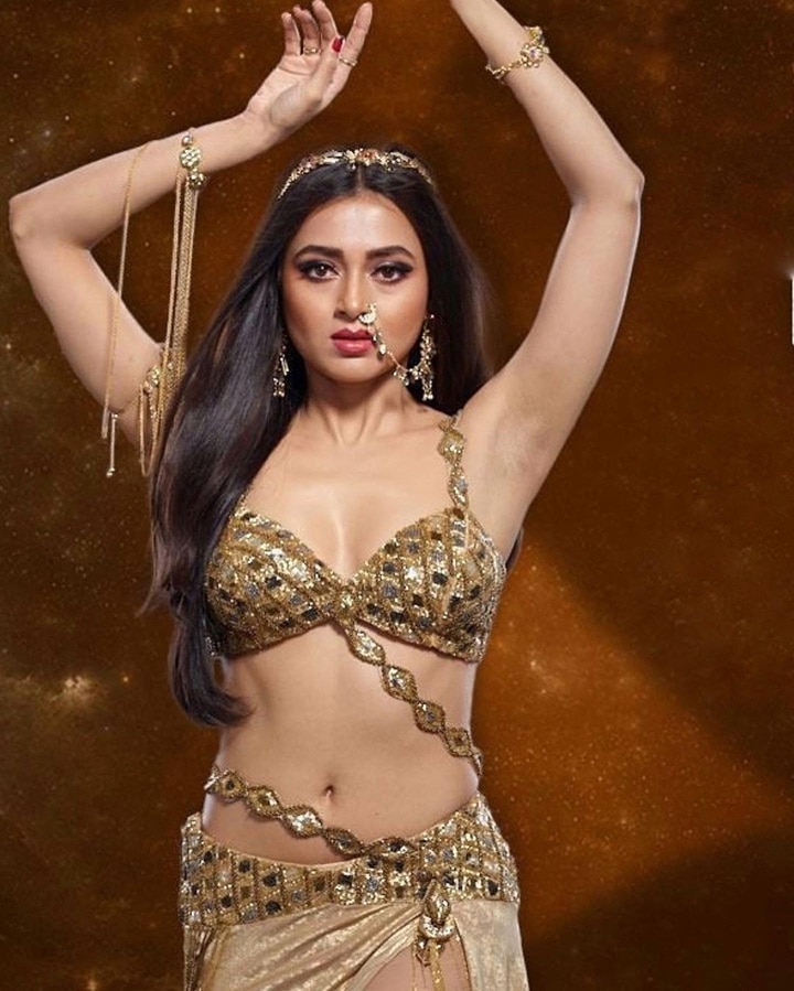 Highest Paid Naagin TV