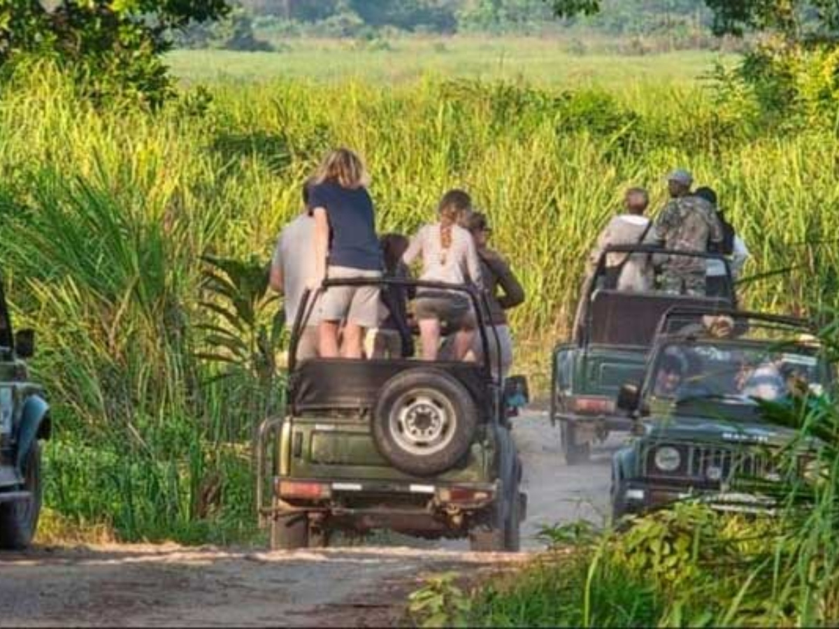 काजीरंगा नेशनल पार्क