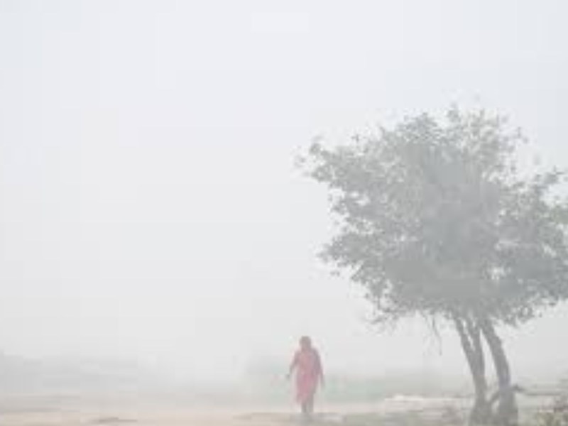 नमी की मात्रा 