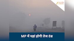 MP Weather: ठंडी हवाओं ने गिराया MP का पारा, इन जिलों में ठंड, ग्वालियर-चंबल सर्द