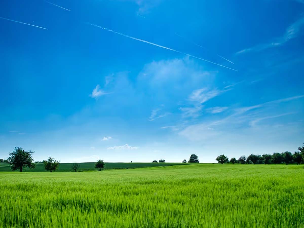 नीला रंग क्यों जीत जाता है?