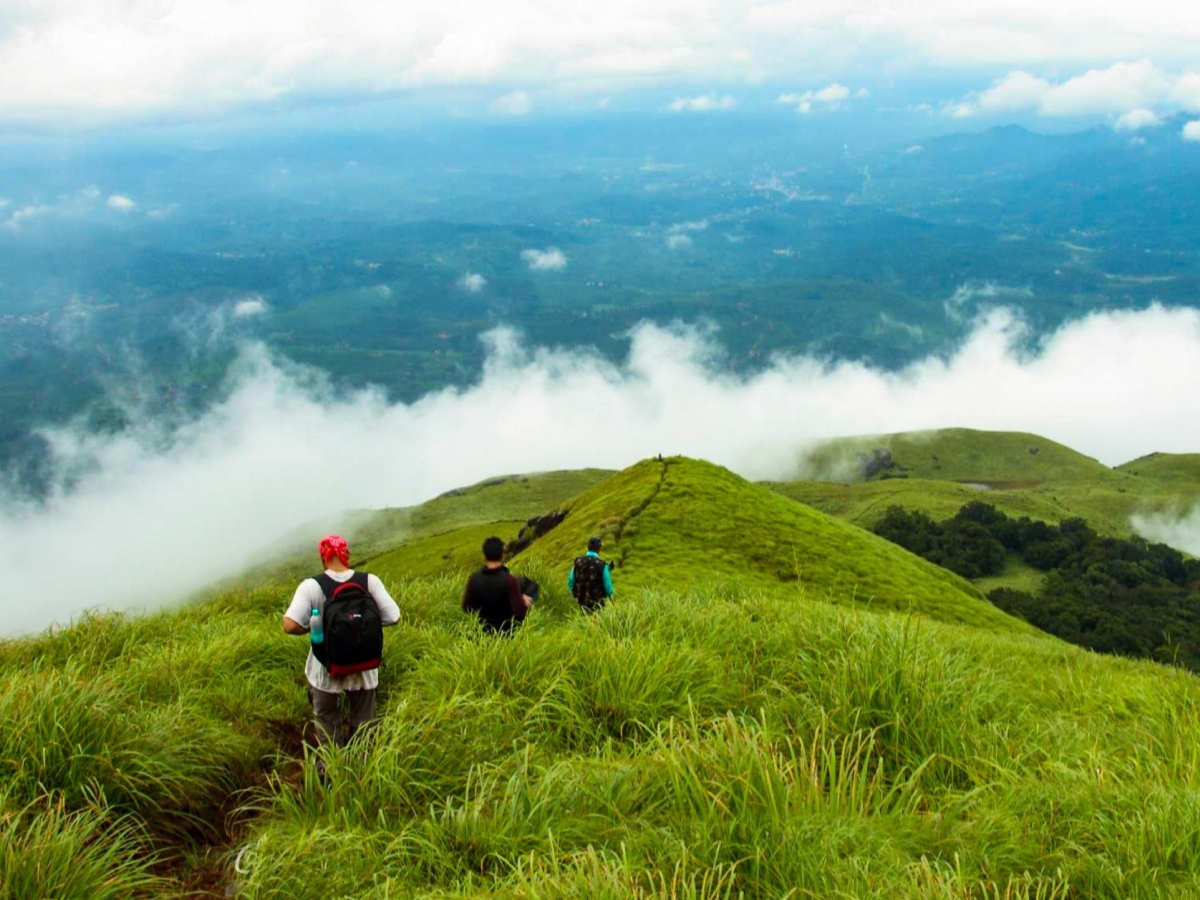 चेम्बरा पीक (Chembra Peak)