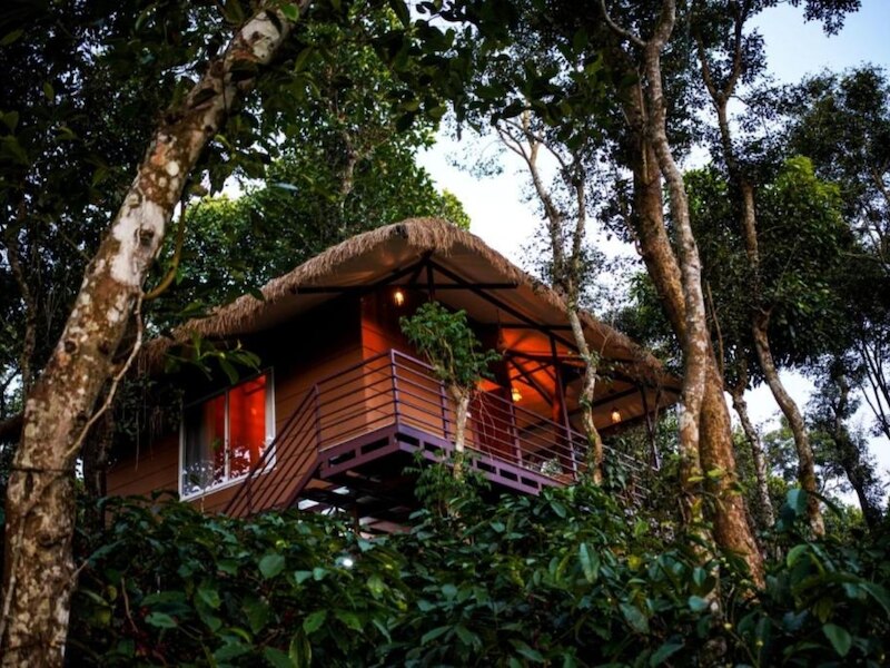 ट्री हाउस (Tree House Stays)