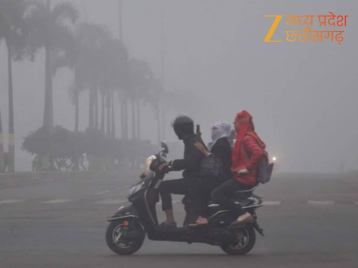 बर्फबारी का असर