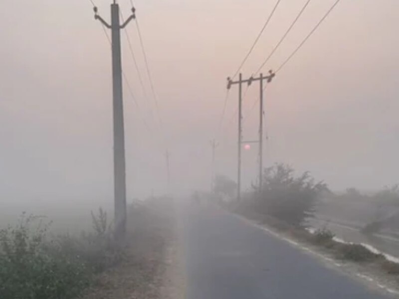 धुंध की पतली चादर, हल्की हवा और धूप की गर्माहट