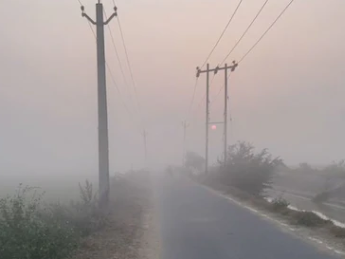 धुंध की पतली चादर, हल्की हवा और धूप की गर्माहट